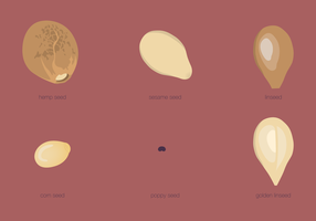 Seed Types Set vector