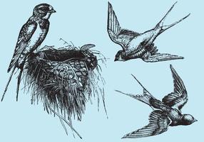 Woodcut Swallow Vectors