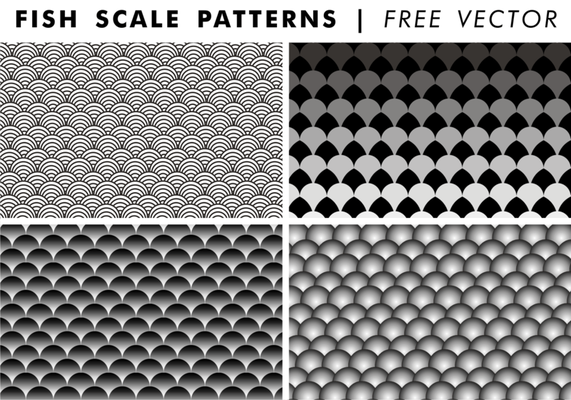 Fish Scales Vector Art, Icons, and Graphics for Free Download