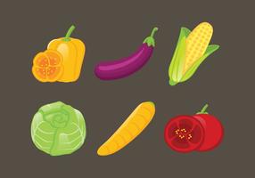 Conjunto de ilustración vectorial de verduras vector