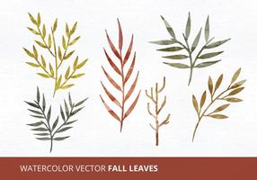 Watercolor Vector Leaves