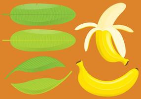 Bananas And Leafs vector