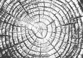 Free Tree Rings Vector Texture