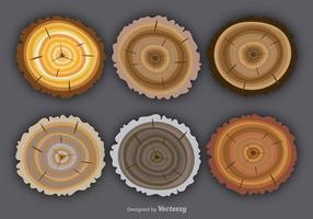 Flat colorful tree rings vector