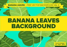 Banana Leaves Free Vector Background Vol. 3