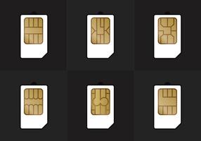 SIM Card Types Vector