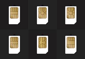 SIM Card Types Vector