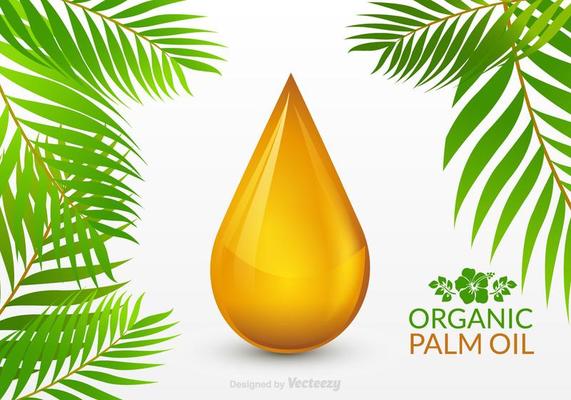Palm Oil Drop Vector