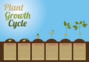 Plant Growth Circle Vector
