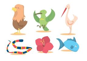 Bird Nature Vector Set