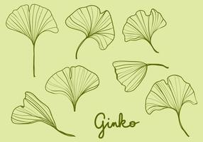 Hojas de Ginko Dibujadas a Mano vector