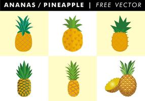 Ananas  Pineapple Free Vector