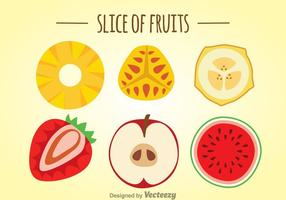 Slice Of Fruits Set vector
