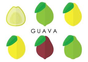 Guava Variants Vectores