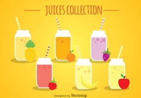 Fruit Juices Collection vector
