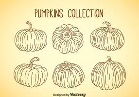Pumpkin Collection vector
