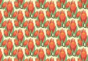 Free Protea Pattern Vector