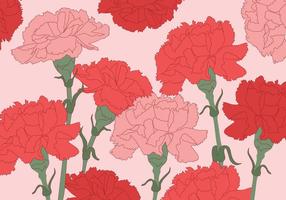 Carnation Vector Background