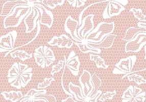 Lace Texture Vector