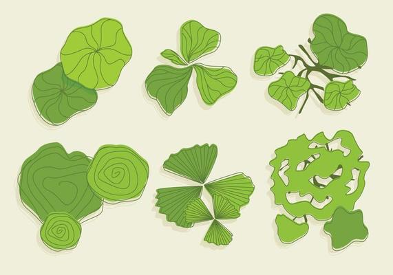 Tree Tops Vector