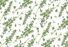 Thyme Vector Background