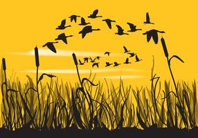 Reeds And Geese Silhouettes vector