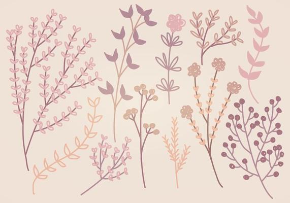 Vector Hand-drawn Elements  