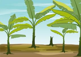 Banana Tree Vector Background