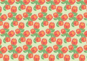 Free Protea Vector Pattern