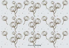 Hand Drawn Cotton Pattern Background vector