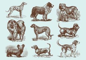 Vectores de dibujo de estilo antiguo perro