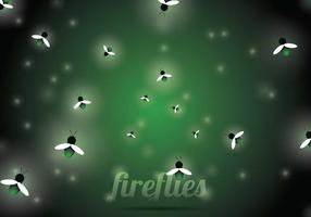 Firefly Vector Background