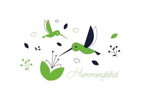 Vector Hummingbird gratis