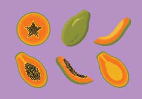 Papaya Vector