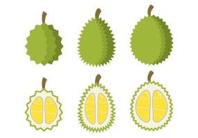 Durian Vector