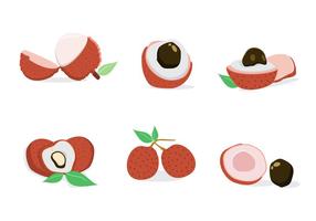 Fresh Lychee Vector