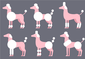 Poodle Vector