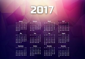 Calendario del año 2017 con meses y fechas vector