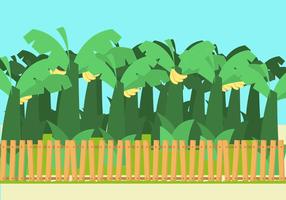 Banana Trees Vector