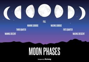 Moon Phase Illustration vector