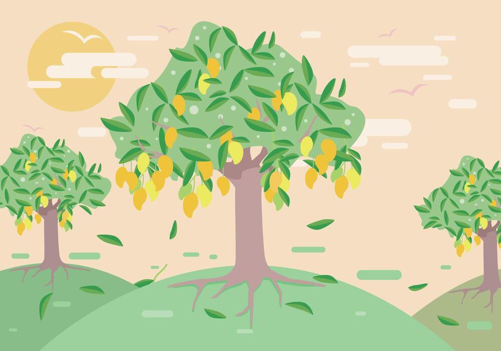 Mango Tree Vector Art, Icons, and Graphics for Free Download