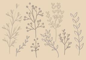 Vector Ink Branches