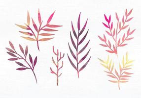 Vector Watercolor Branches