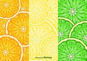 Fruit Slices Pattern Vector