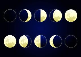 Moon Phase Vector Illustration