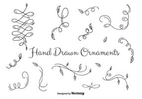 Ornamentos Conjunto Vector