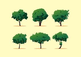 FREE MANGO TREE VECTOR