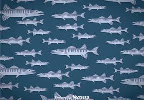 Barracuda Background vector