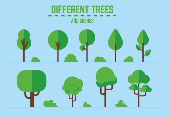 Vector Trees and Bushes