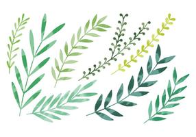 Vector Watercolor Leaves